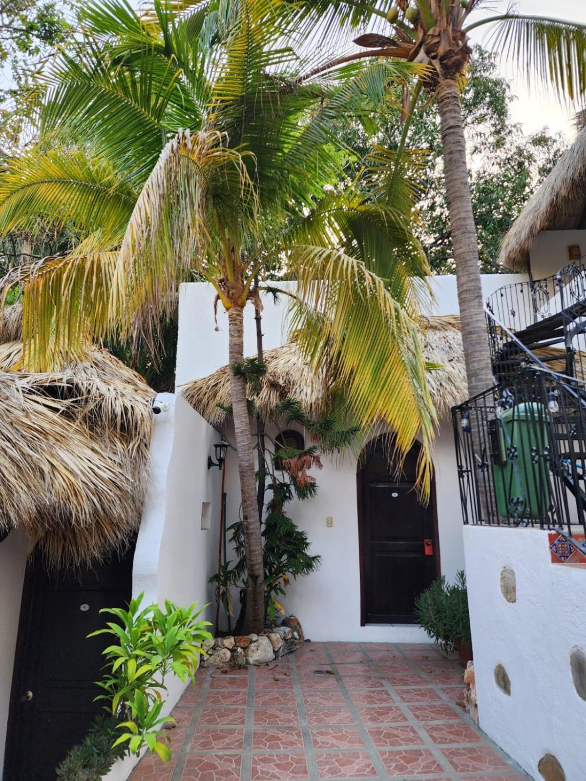 Esencia Puerto Escondido Otel Puerto Escondido  Dış mekan fotoğraf